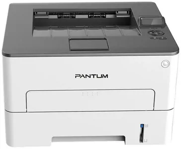 Замена лазера на принтере Pantum P3300DW в Екатеринбурге
